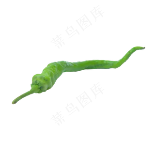 辣椒蔬菜时蔬