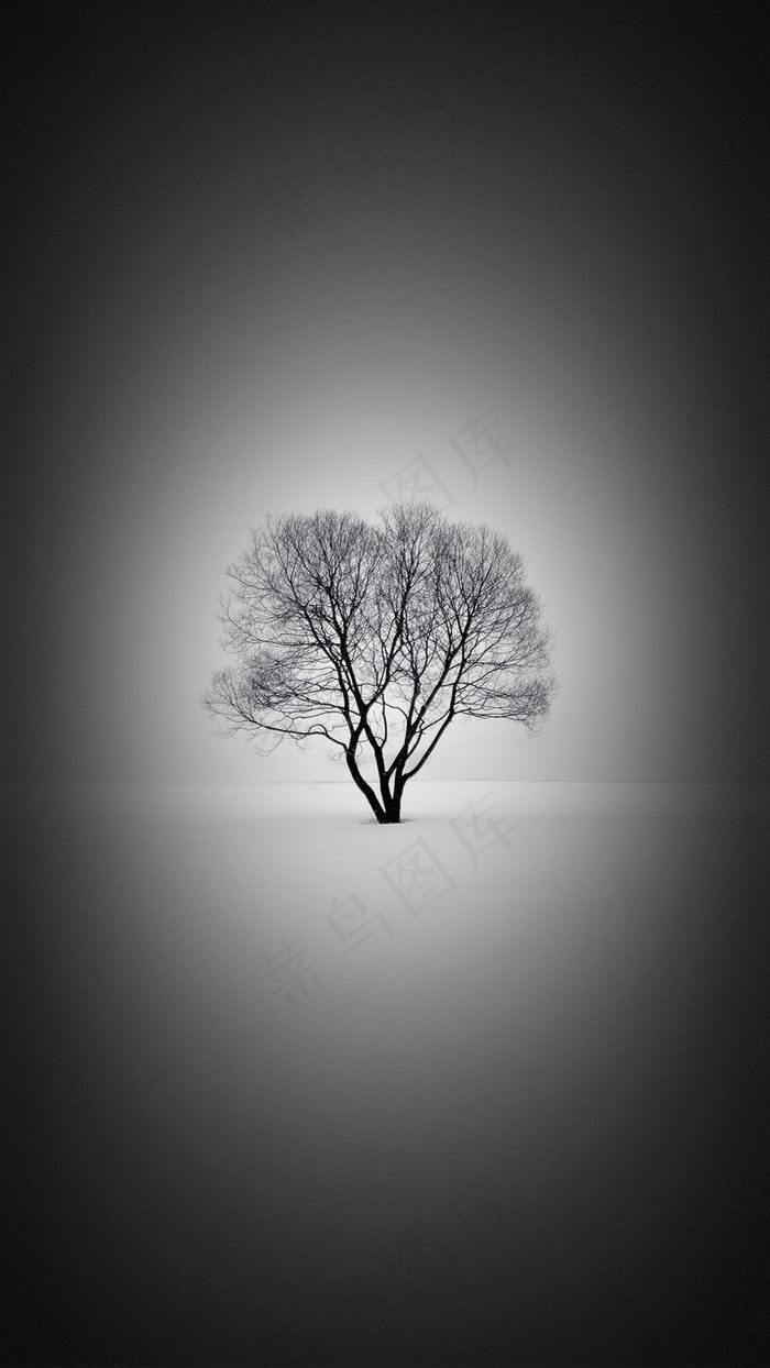 孤独的一棵树