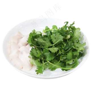 芹菜葱调料蔬菜 芹菜葱调料蔬菜