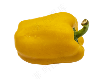 黄色立体菜辣椒