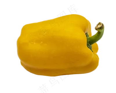 黄色立体菜辣椒 黄色立体菜辣椒