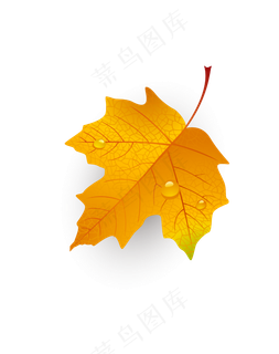 秋季精致枫叶