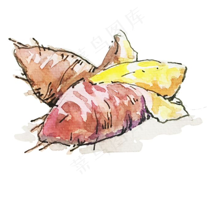 二十四节气之白露地薯可商用元素