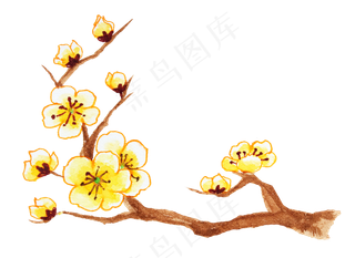 水彩手绘黄色腊梅