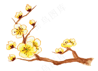 水彩手绘黄色腊梅