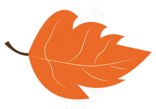 秋天落叶矢量图