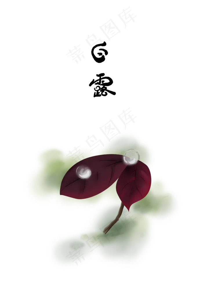 白露叶子上的露珠(2480X3508(DPI:300))psd模版下载