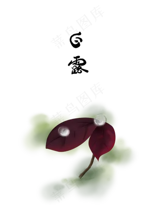 白露叶子上的露珠