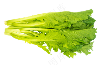 绿色蔬菜雪里红