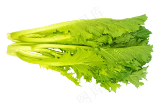 绿色蔬菜雪里红