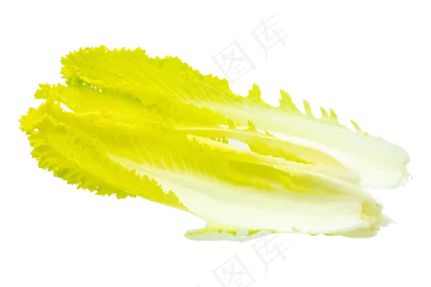 绿色蔬菜白菜 绿色蔬菜白菜