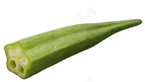 绿色蔬菜秋葵