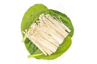 新鲜蔬菜金针菇