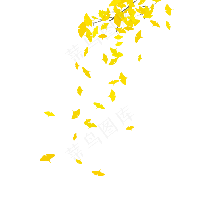 实物秋天主题银杏叶落叶
