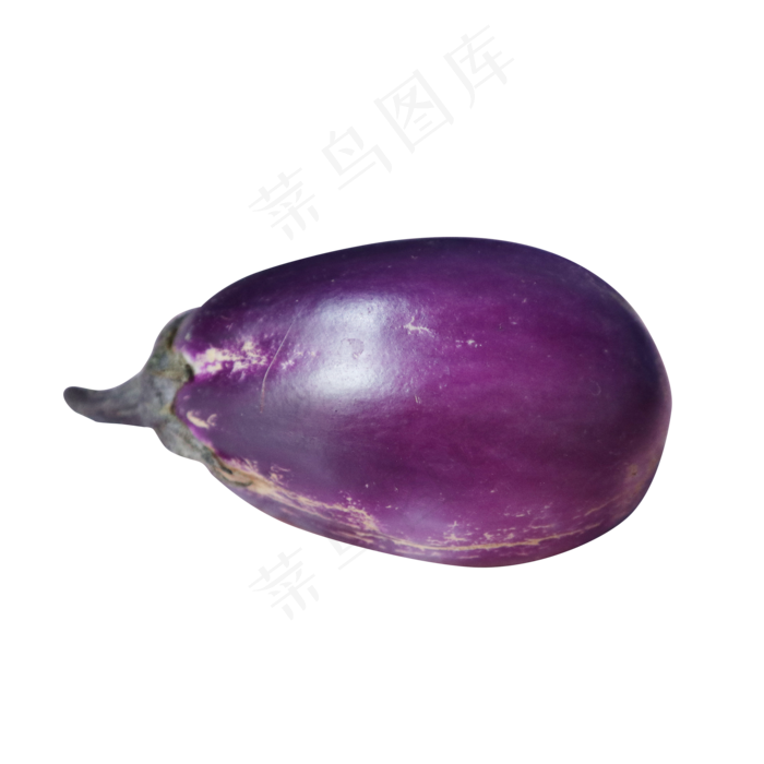 茄子正侧面(2000X2000(DPI:300))