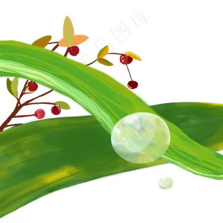 白露早晨粘露珠的绿植高清图