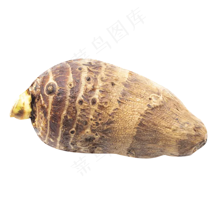 美味新鲜蔬菜(2000X2000(DPI:300))