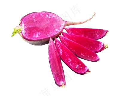 切开的紫色水萝卜