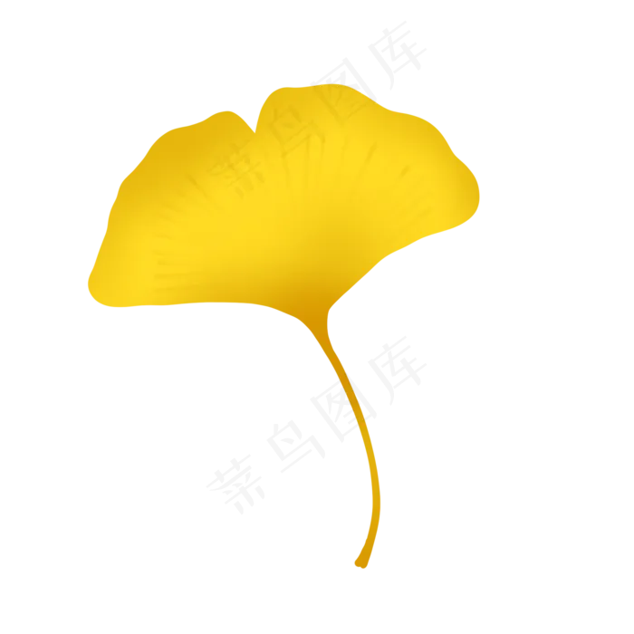 秋季黄色银杏叶子(2000X2000(DPI:300))psd模版下载