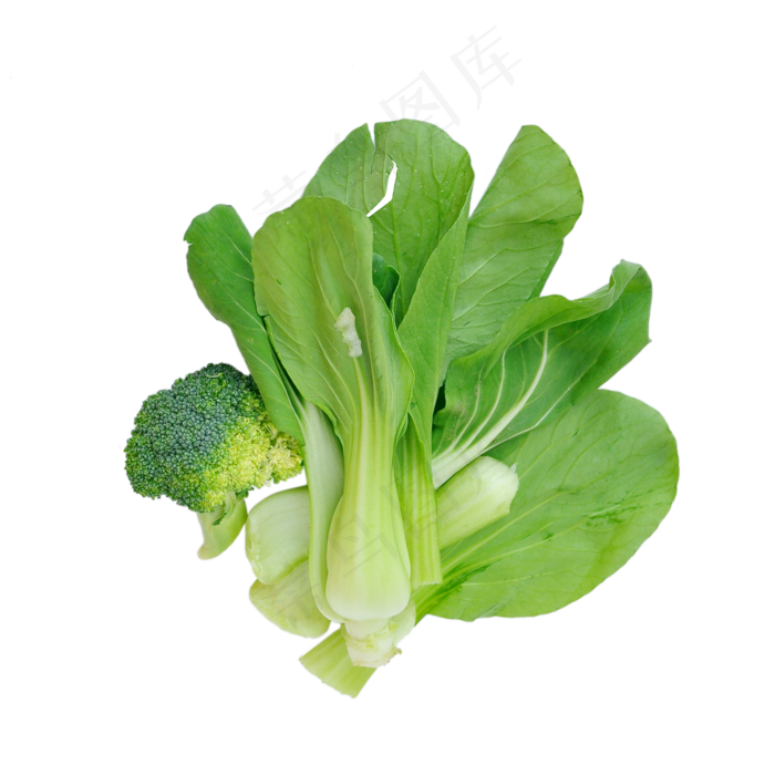 西蓝花和小油菜