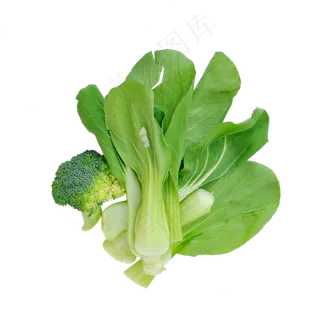 西蓝花和小油菜