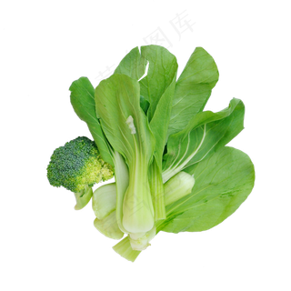 西蓝花和小油菜