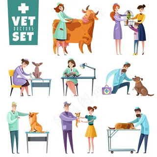 兽医在专业检查期间对宠物和农场动物进行隔离