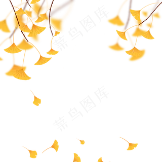 立秋二十四节气