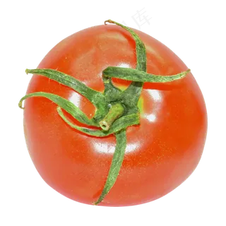 餐饮食材西红柿
