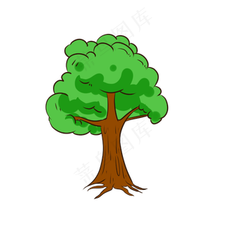 茂密叶子景观绿色植物树木生长元