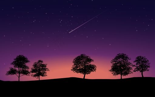 树木和星夜的插图