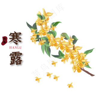 传统节气寒露装饰图案