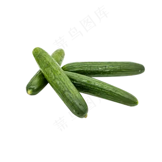 新鲜黄瓜食材