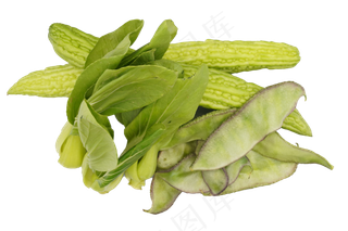 油菜扁豆苦瓜
