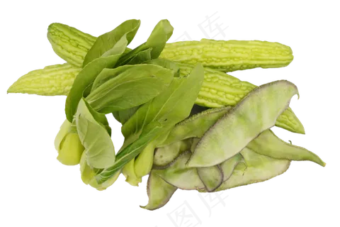 油菜扁豆苦瓜 油菜扁豆苦瓜