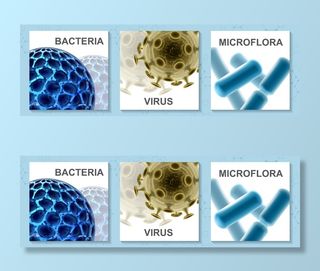 带有病毒细菌和细菌分离图的逼真微生物学彩色卡片