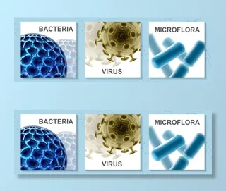 带有病毒细菌和细菌分离图的逼真微生物学彩色卡片