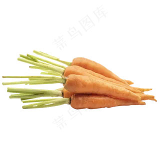 蔬菜食材胡萝卜