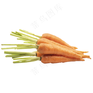 蔬菜食材胡萝卜