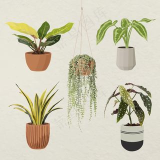 植物矢量艺术套装，花盆中的室内植物