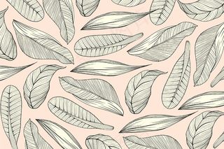 线性热带叶子，有柔和的颜色背景