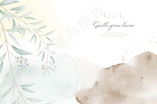 美丽的创意自然背景，柔和的绿叶