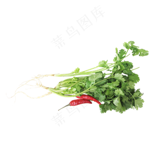 食材香菜辣椒