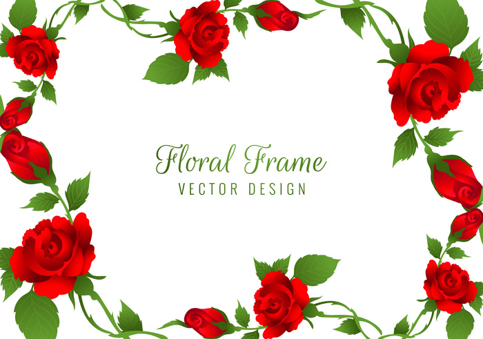 美丽的红玫瑰花框背景