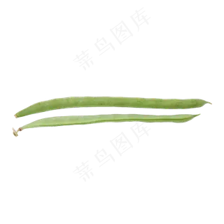扁豆(png免抠) 扁豆(png免抠)
