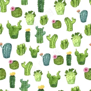 仙人掌图案水彩风格