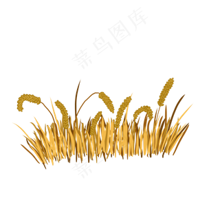 24节气之立秋麦穗