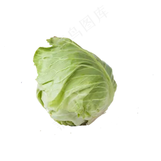 一个包白菜 一个包白菜