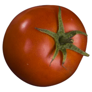 西红柿实物拍摄png