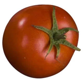 西红柿实物拍摄png